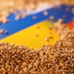 EU Considers New Routes for Ukrainian Grain Exports