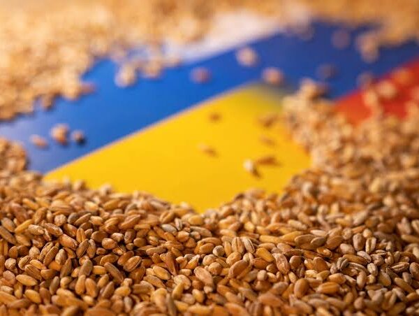 EU Considers New Routes for Ukrainian Grain Exports