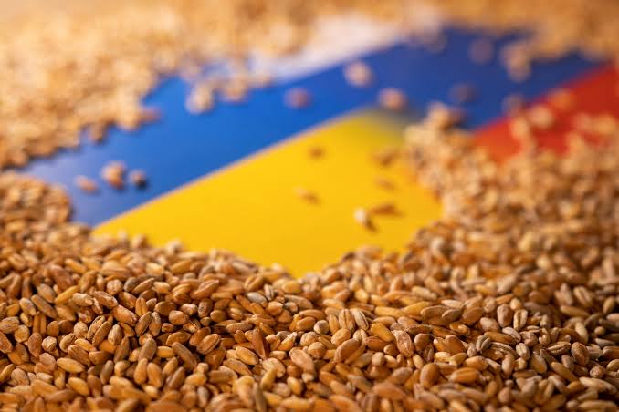 EU Considers New Routes for Ukrainian Grain Exports