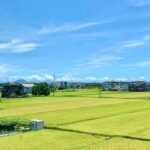 Taiwan Turns Agricultural Waste Into Yarn and Biomass Fuel