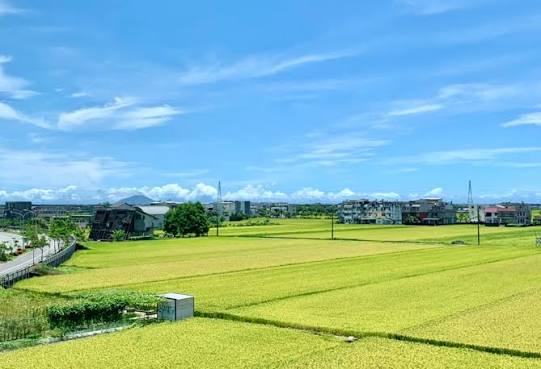 Taiwan Turns Agricultural Waste Into Yarn and Biomass…
