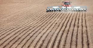 US Farm Fertilizer Costs Expected to Jump 15.3%&hellip;