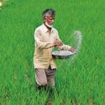 Global Agriculture Faces Growing Fertilizer-Price Pressure