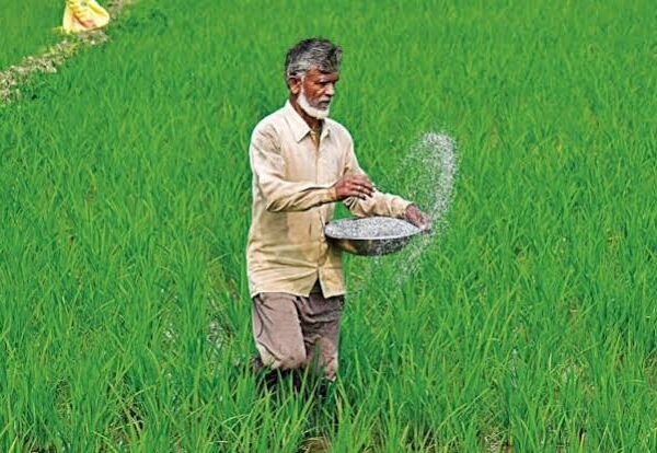 Global Agriculture Faces Growing Fertilizer-Price Pressure