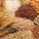 Global Cereal Market: Wheat Use Revised Lower, Rice Demand Rising