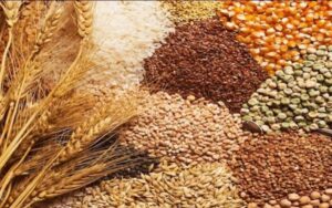 Global Cereal Market: Wheat Use Revised Lower, Rice&hellip;
