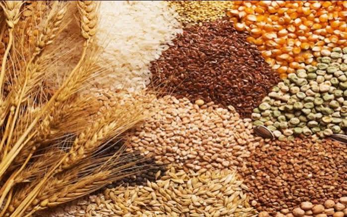 Global Cereal Market: Wheat Use Revised Lower, Rice…