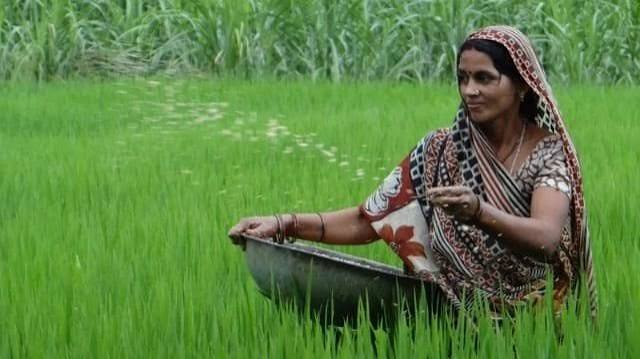 Regenerative Agriculture Gains Global Attention as Farmers Seek…