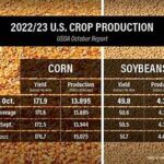 U.S. Corn and Soybean Markets Await Key September USDA Data