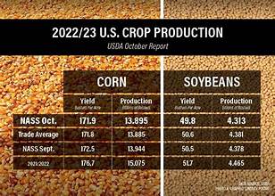 U.S. Corn and Soybean Markets Await Key September USDA Data