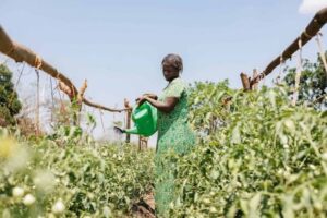 Rwanda Secures US$12 Million Agriculture Financing Support to&hellip;