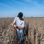 U.S. Farmers Face a Sharp Increase in Fertilizer Costs