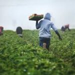 Climate Change Increasing Pressure on Food, Water and Farmland