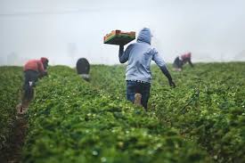 Climate Change Increasing Pressure on Food, Water and&hellip;