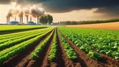 EU Agriculture Faces Higher Input Costs and Geopolitical Risks