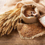 Global Grain Production Forecast Cut as Heat Raises Crop Concerns