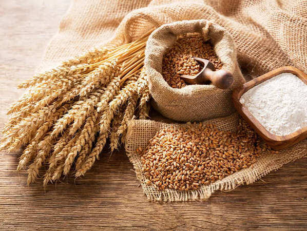 Global Grain Production Forecast Cut as Heat Raises Crop Concerns