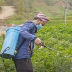 Global Concern Over Pesticide Exposure Among Farmers