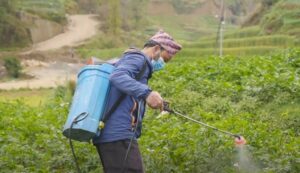 Global Concern Over Pesticide Exposure Among Farmers