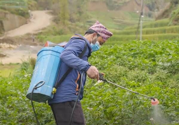 Global Concern Over Pesticide Exposure Among Farmers