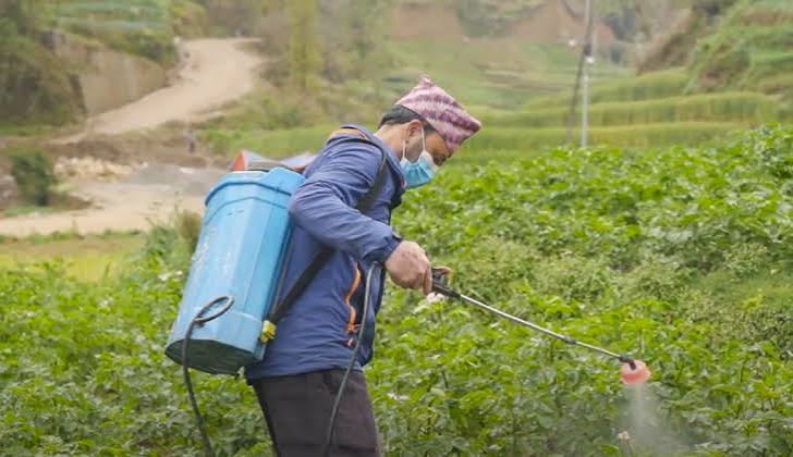 Global Concern Over Pesticide Exposure Among Farmers