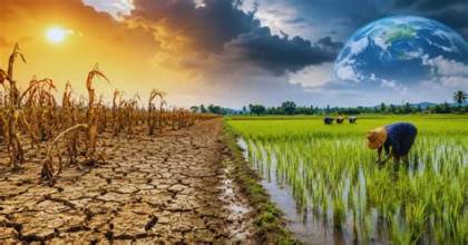 El Niño Raises Concerns About Global Crop Production