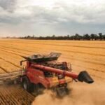 Brazil Faces Mixed Agricultural Weather Outlook as El Niño Influences Rainfall Patterns