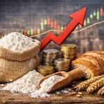 Global Food Prices Climb to Nearly Four-Year High as Wheat and Maize Costs Surge