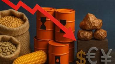 World Bank Warns of Rising Global Food and Commodity Prices, Raising Concerns for Farmers