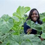 African Plant Scientist Pamela Afokpe Wins 2026 Norman Borlaug Field Award