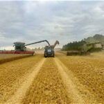 US Farmers Face Mixed Harvest Results as Weather Shapes Crop Performance