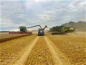 US Farmers Face Mixed Harvest Results as Weather…