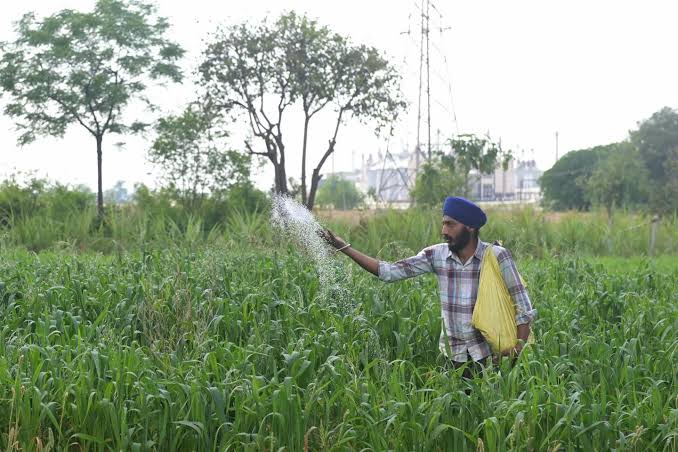 Strait of Hormuz Disruptions Threaten Global Fertilizer Supplies and Food Security