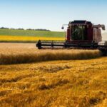 Global Cereal Production Forecast Nears 3 Billion Tonnes, Maintaining Strong Supply Outlook