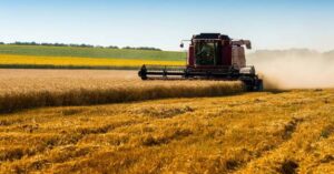 Global Cereal Production Forecast Nears 3 Billion Tonnes,&hellip;