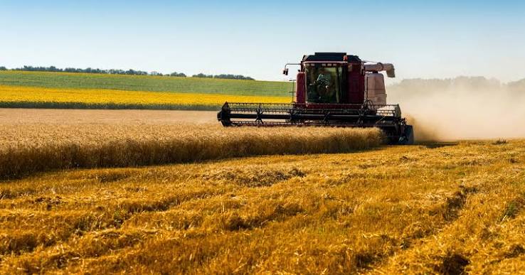Global Cereal Production Forecast Nears 3 Billion Tonnes, Maintaining Strong Supply Outlook
