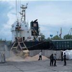 Russia Explores Arctic Grain Export Route Amid Black Sea Shipping Disruptions