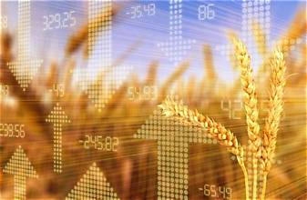 Global Cereal Prices Surge as Tight Supplies and Trade Disruptions Pressure Grain Markets