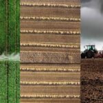 Wet Harvest Raises Crop Quality Concerns for Canadian Farmers