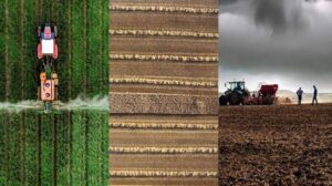 Wet Harvest Raises Crop Quality Concerns for Canadian&hellip;