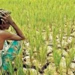 Drought Concerns May Increase India’s Agricultural Imports Amid Crop Production Uncertainty