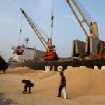 Indian Customs Scrutiny Diverts Soybean Shipments to Other Asian Markets
