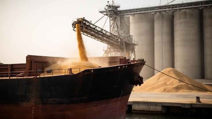 Global Wheat Prices Rise 6.3% as Black Sea Shipping Disruptions Tighten Export Flows