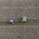 Fertilizer Supply Disruptions Threaten Future Harvests