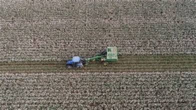 Fertilizer Supply Disruptions Threaten Future Harvests