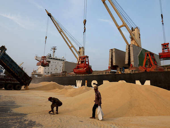 Indian Customs Scrutiny Diverts Soybean Shipments to Other…