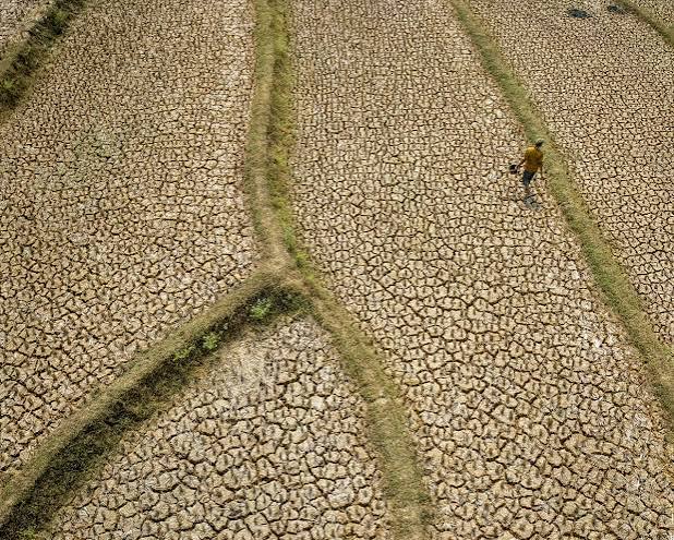 El Niño Could Become One of the Strongest on Record, Raising Global Agriculture Risks