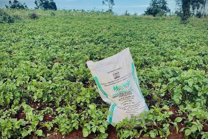 Rising Fertilizer Prices Put Pressure on Farm Profitability as Global Grain Costs Increase