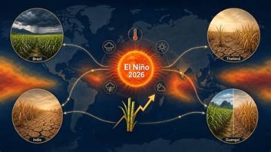 Severe El Niño Raises Risks for Global Crop…
