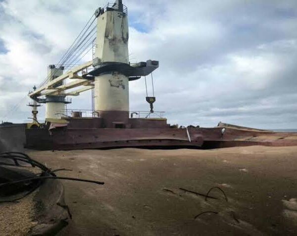Black Sea Grain Trade Disruptions Keep Global Wheat&hellip;